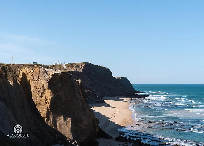 Andorinha - Cozy Center Of