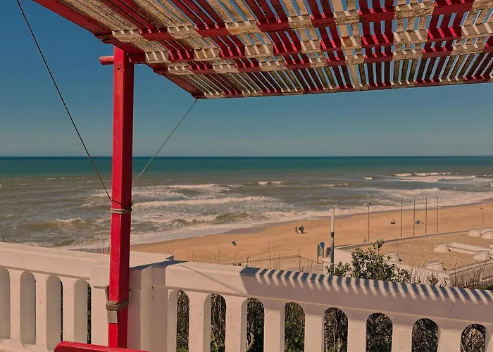 Andorinha - Cozy Center Of